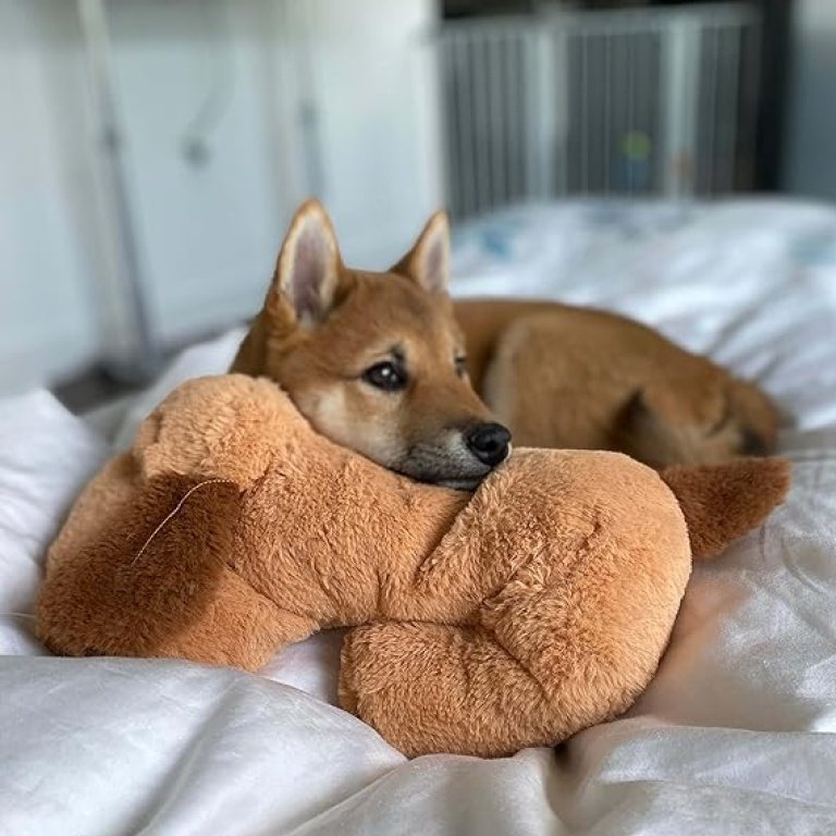 Snuggle Puppy, a canine anxiety relief toy, aids in behavioral training.